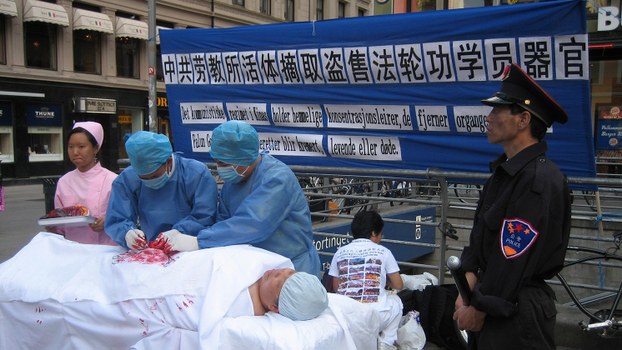 澳大学报告：中国器官捐赠数据可能造假